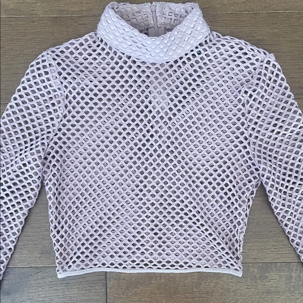 Mauve Mesh Long-Sleeve Crop Top with Mock Neck